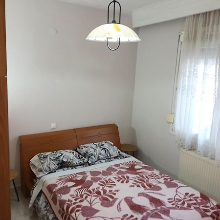 Apartment Marios Soufli Ευρύχωρη Γκαρσονιέρα, 60M2 Στο Κέντρο Souflion Екстер'єр фото